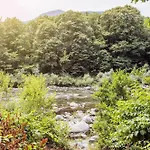 Ferienhaus Immersi Nella Natura Con Accesso Al Fiume Maggia Locarno