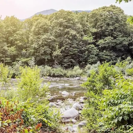 Immersi Nella Natura Con Accesso Al Fiume Maggia Nyaraló Locarno